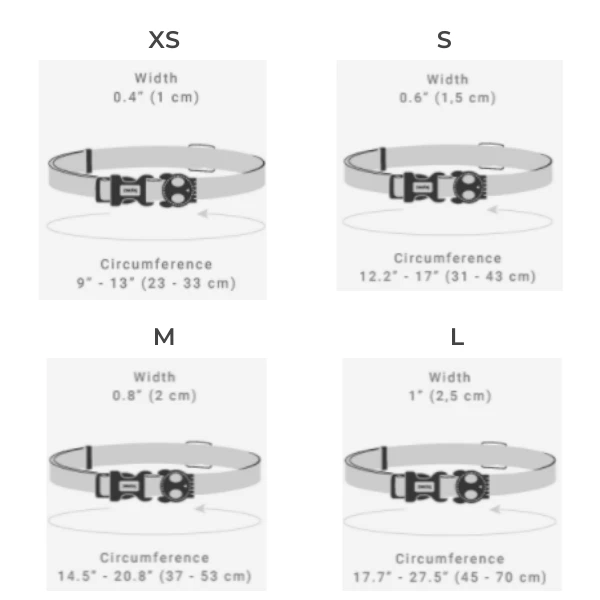 Zee.Dog Collare Prisma Zee Dog - Large 4 Zee.Dog Collare Prisma Zee Dog - Large - immagine 2