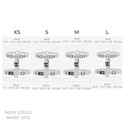 Zee.Dog Pettorina Mahalo Zee Dog - Small -negozio di articoli per gatti taglie pettorina 3